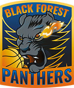 Panthers Logo