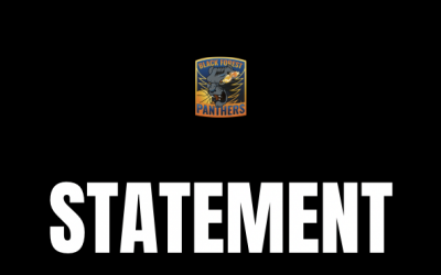 Spielwertung nachträglich geändert – Panthers vor entscheidendem Spiel 3